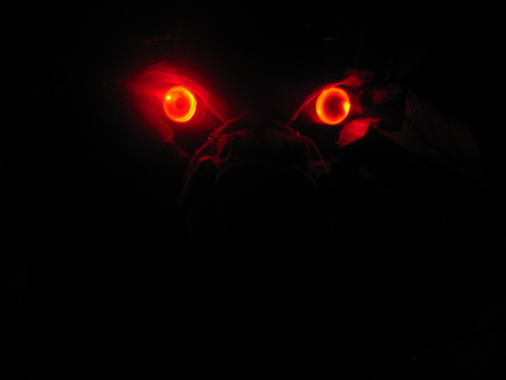 Red Glowing Eyes Demons. ✔. 